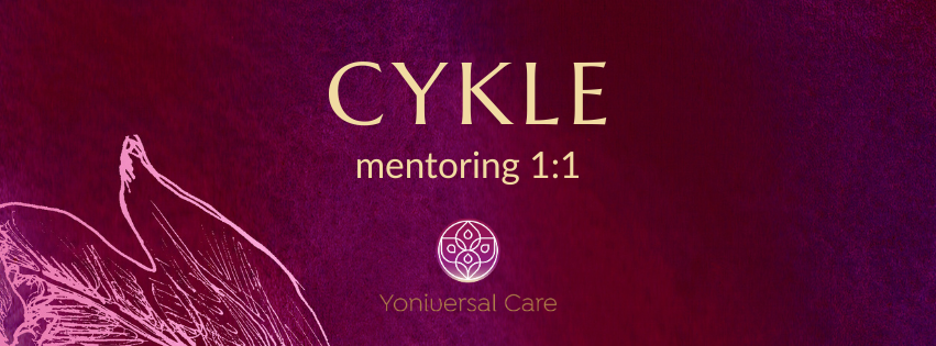 Jest to baner. Na obrazku napis: Cykle. Mentoring 1:1 oraz logo Yoniversal Care. Tło w kolorze rubinowym.